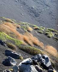 Ascent to Mount Etna