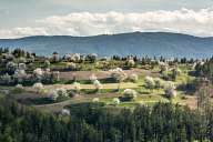 Spring in the Rhodopes