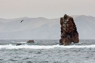 Coast of Peru