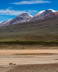 On the way to Colca