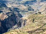 Colca canyon