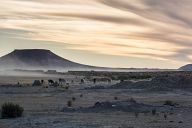 On the road to the salt desert