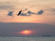 Coast of Aruba