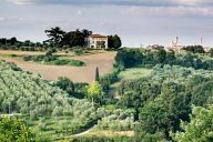 Tuscan landscape