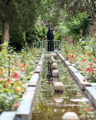 From the gardens of Tehran