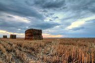 Bales of hay