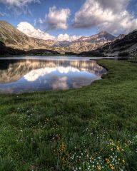 Meadows with flowers at the lake