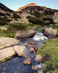 Creek in Pirin