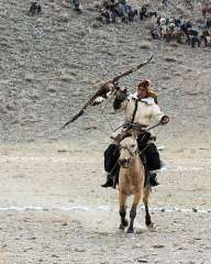 Golden Eagle Festival