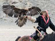 Golden Eagle Festival