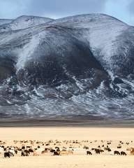 Mountain landscape