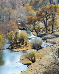 Oasis by the river