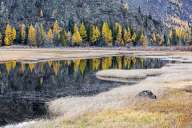 Autumn in Altai