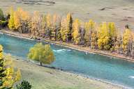 Autumn in Altai