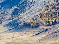 Autumn in Altai