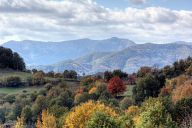 Landscapes near Zlatograd