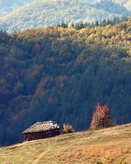 Landscapes near Zlatograd