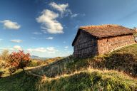 Landscapes near Zlatograd