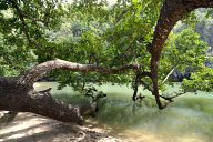 Underground river of Puerto Princesa