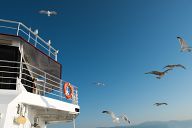 On the ferry