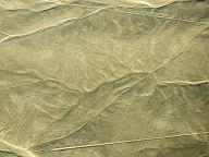 Figures of Nazca