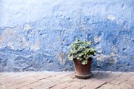 Santa Catalina monastery complex