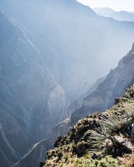 Colca canyon