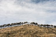 Coast of Lake Titicaca