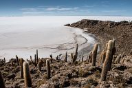 Salt desert