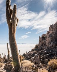 Salt desert