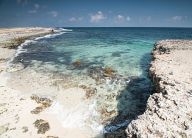 Coast of Aruba