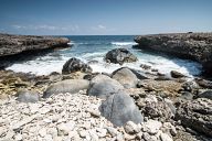 Coast of Aruba