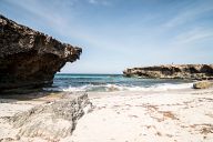 Coast of Aruba