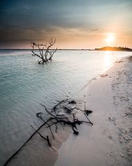 Coast of Aruba