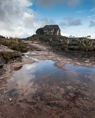 Roraima - the strangest mountain