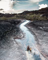 Roraima - the strangest mountain