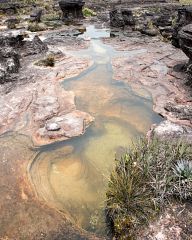 Roraima - the strangest mountain