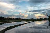 Sunset over Ubud