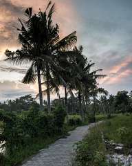 Sunset over Ubud