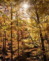 Autumn in the Rhodopes