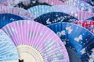 Japanese Fans