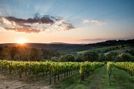 Tuscan sunset