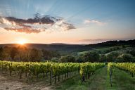 Tuscan sunset