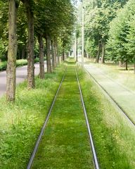 Tram road