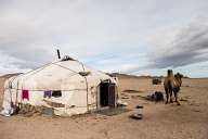 Mongolian yurt