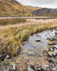 Autumn in Altai