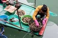 Ha Long Bay