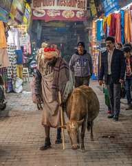 From the streets of Rishikesh