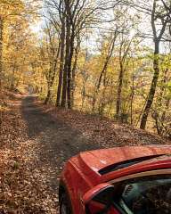 Autumn in Vitosha