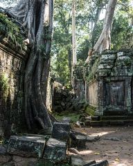 Древни храмове от Камбоджа